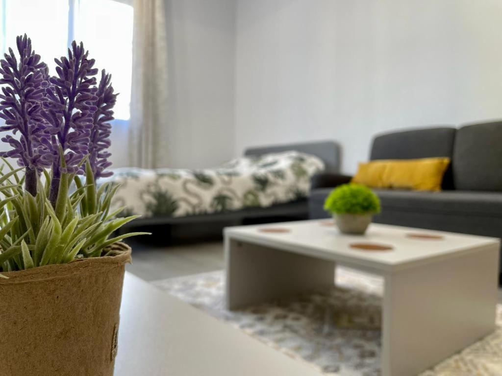 Belvedere Apartments بوخارست المظهر الخارجي الصورة